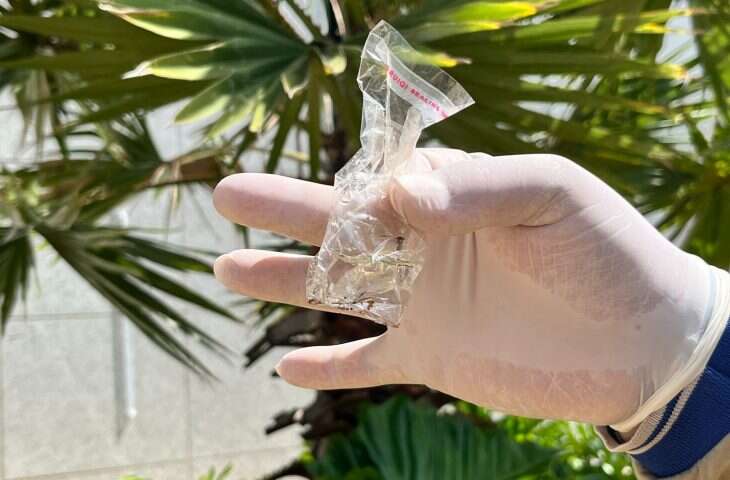 acao-enfrentamento-arboviroses-FotoKamillaRatier-28-11-2025-41-730x480-1