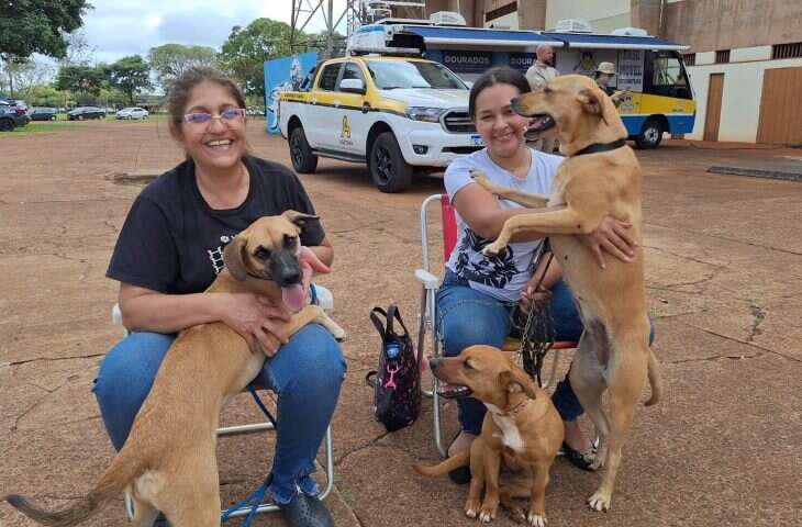 Caravana-da-Castracao-Ddos-Isa-dos-Santos-Foto-Victor-Arguelo-ViceGov-730x480-1