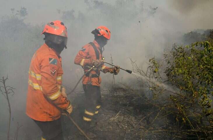 Incendio-Pantanal-Foto-Bruno-Rezende-6-730x480-1