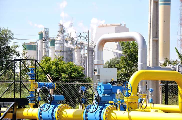 msgas-730×480-1 msgas-730x480-1