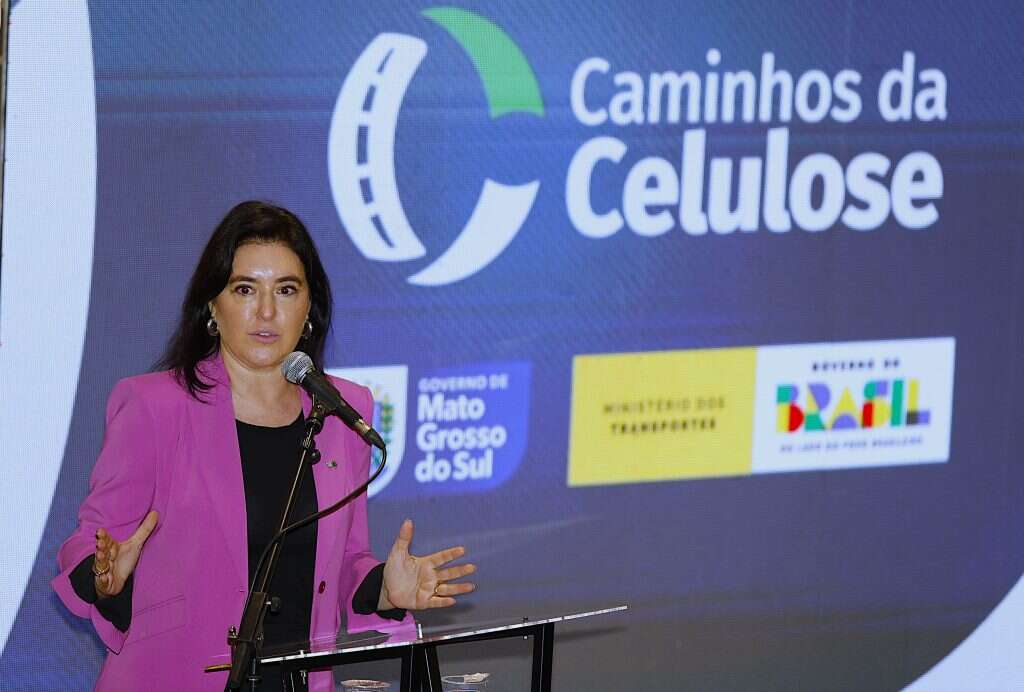 Caminho da Celulose Foto Saul Schramm