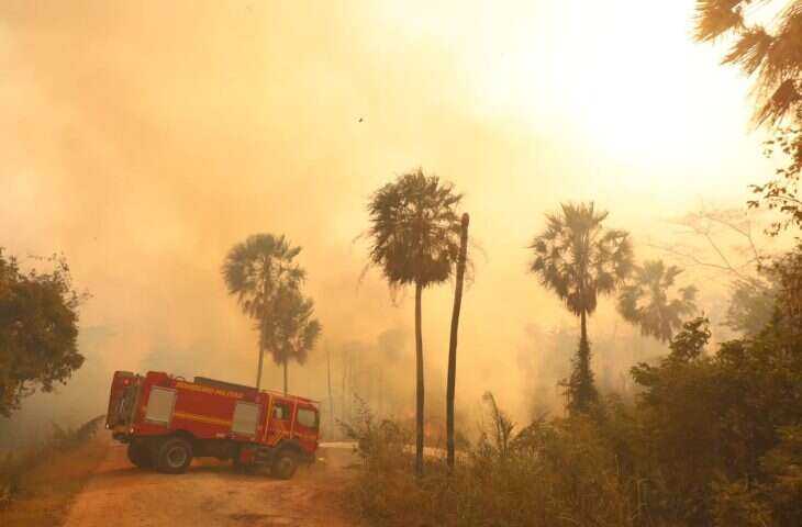 Operacao-Pantanal-Foto-Alvaro-Rezende-14-1-730x480-1
