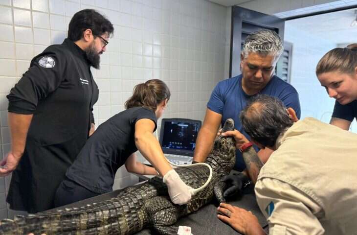 WhatsApp-Image-2026-02-12-at-11.48.49-730x480-1