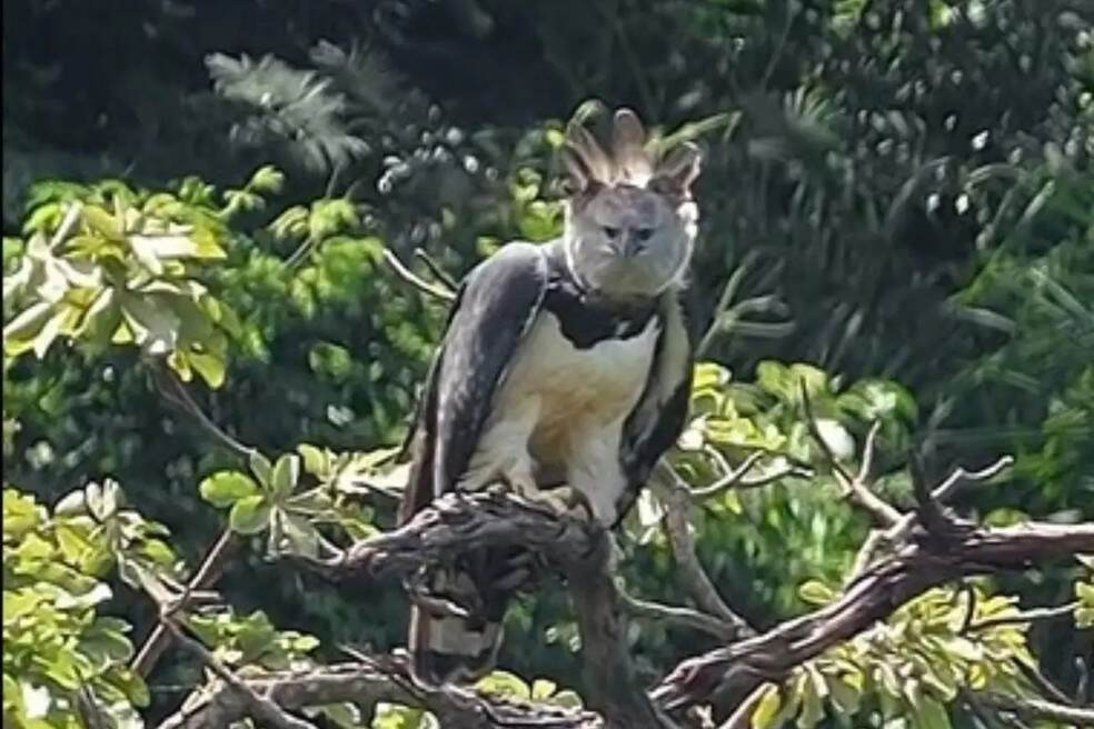 Imagem: Lucas Morgado