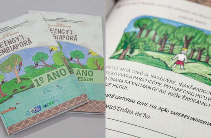 Coletanea-MS-Alfabetiza-Indigena-730x480-1