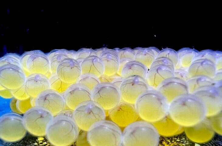 WhatsApp-Image-2026-03-05-at-09.53.38-730x480-1