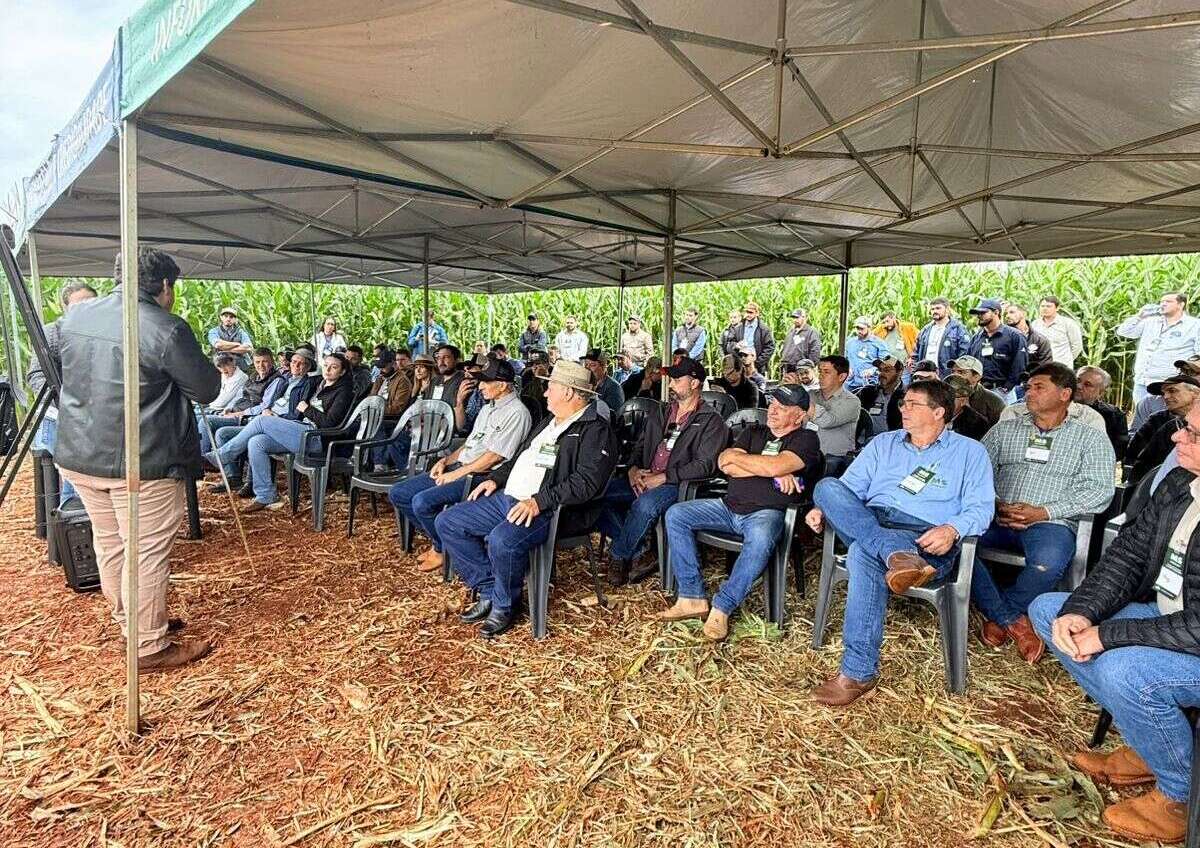 Dia de Campo 2 Dia de Campo 2