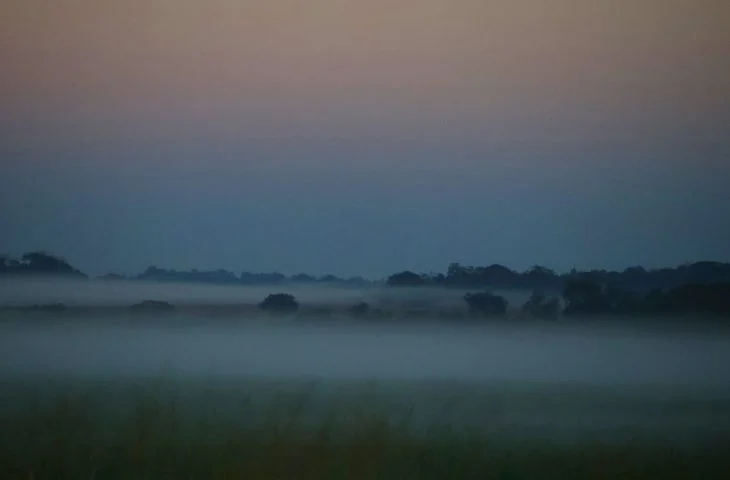 Tempo-frio-neblina-Foto-Alvaro-Rezende1-730x480-1