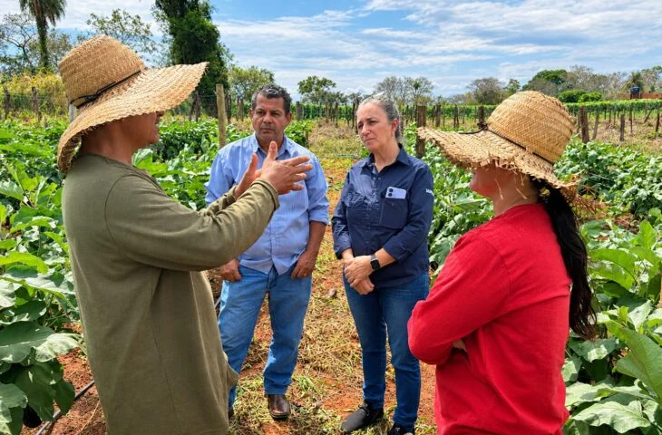 agraer_agricultores-1-730×480-1 agraer_agricultores-1-730x480-1